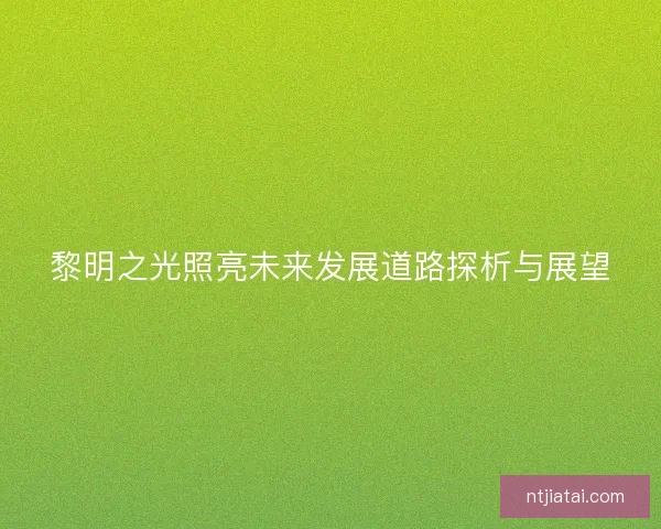 黎明之光照亮未来发展道路探析与展望