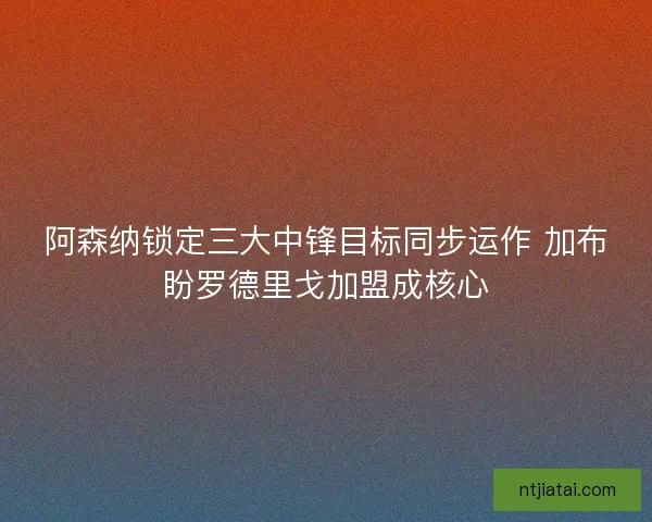 阿森纳锁定三大中锋目标同步运作 加布盼罗德里戈加盟成核心
